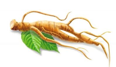 Ginseng- ը 50 տարի անց կարող է բարելավել հզորությունը