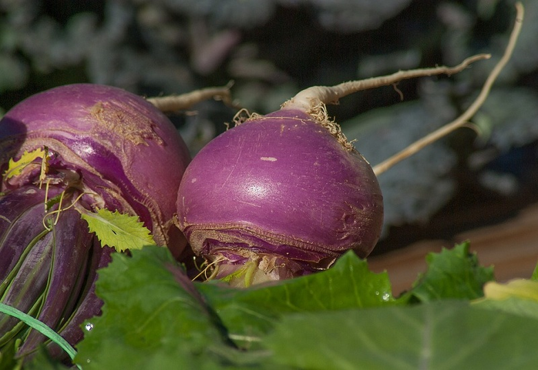 Turnip- ը հզորության համար